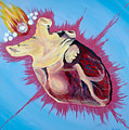 Sagrado Corazon de Maria - The Sacred Heart of Mary 