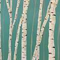 Aspen Trees 1