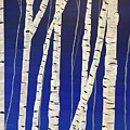 Aspen Trees 2